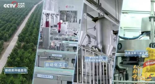 洽洽食品2024年首季业绩亮眼 场景与渠道创新驱动收入利润双增