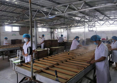 聚焦农村发展，食品技术研发助力乡村振兴